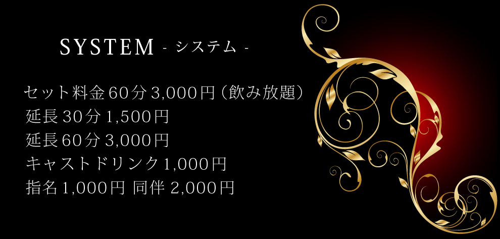 PARISCLUBのSYSTEM